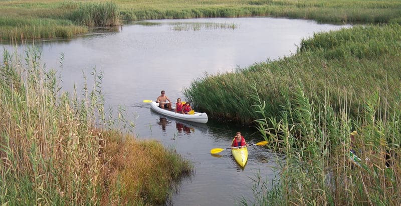 Canoa - Zona Foggia