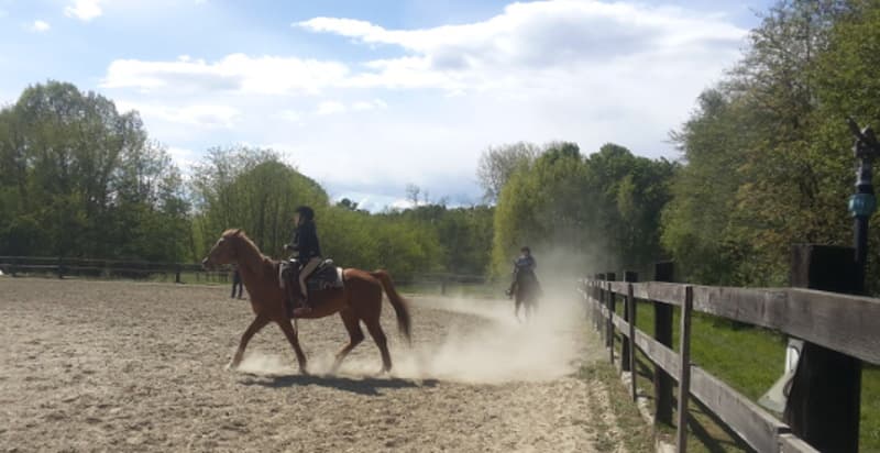 Corso di equitazione