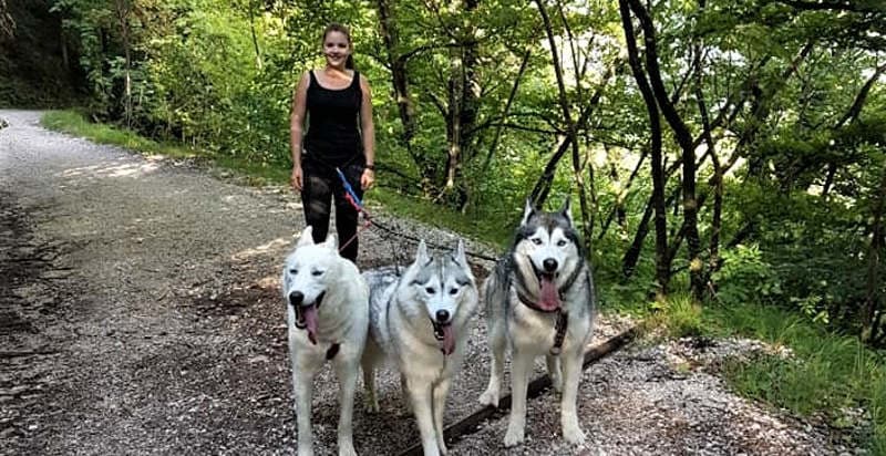 Dog Trekking