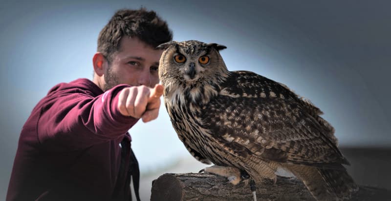 Falconeria Family