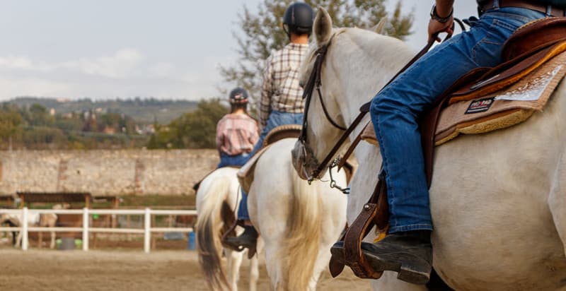 Lezione di equitazione