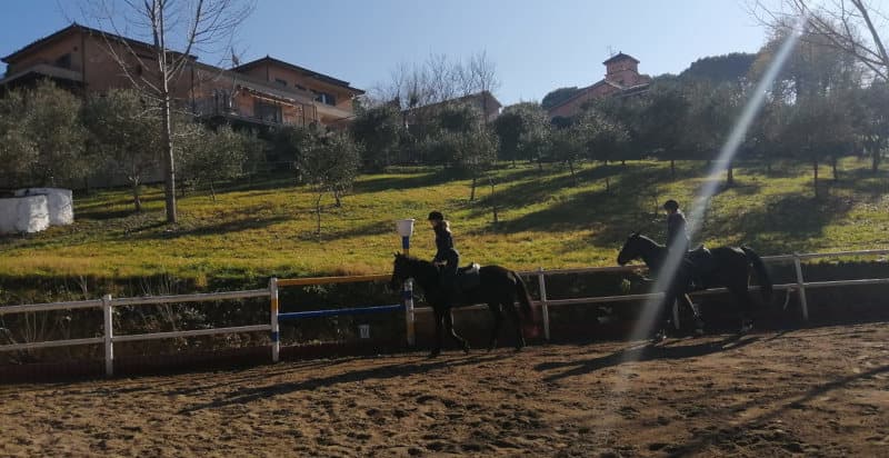 Lezione di equitazione