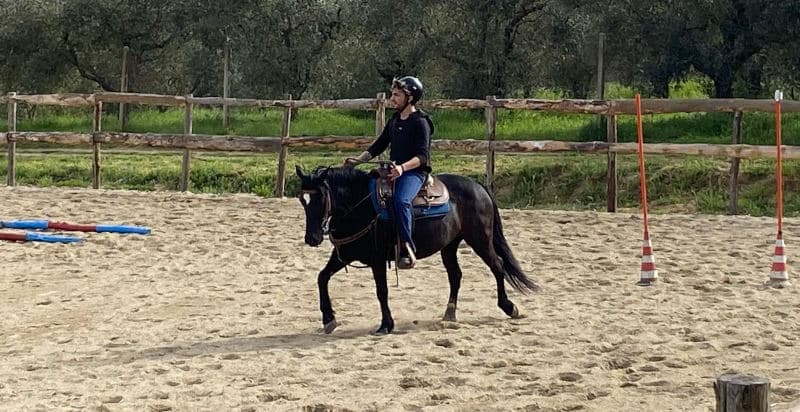 Lezione equitazione