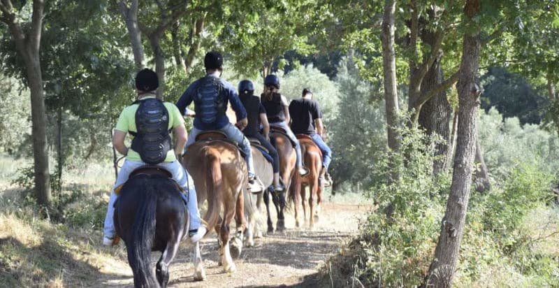Passeggiata a cavallo
