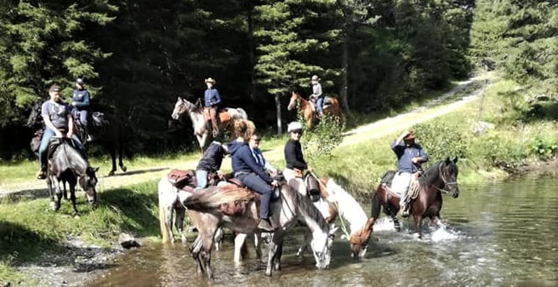 Passeggiata a cavallo - Zona Levico
