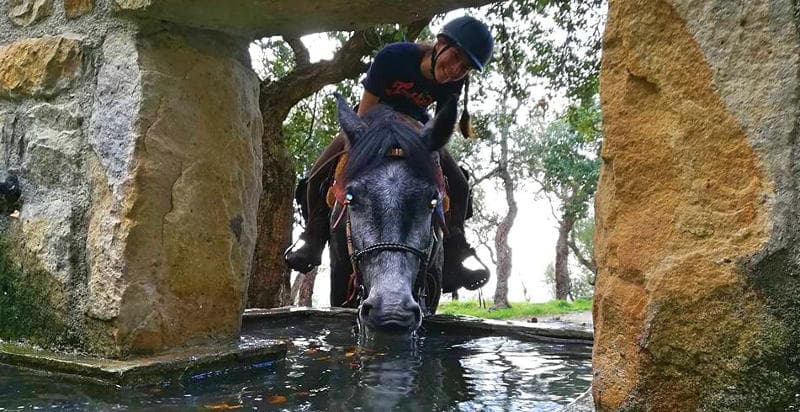 Passeggiate a cavallo e pernottamento