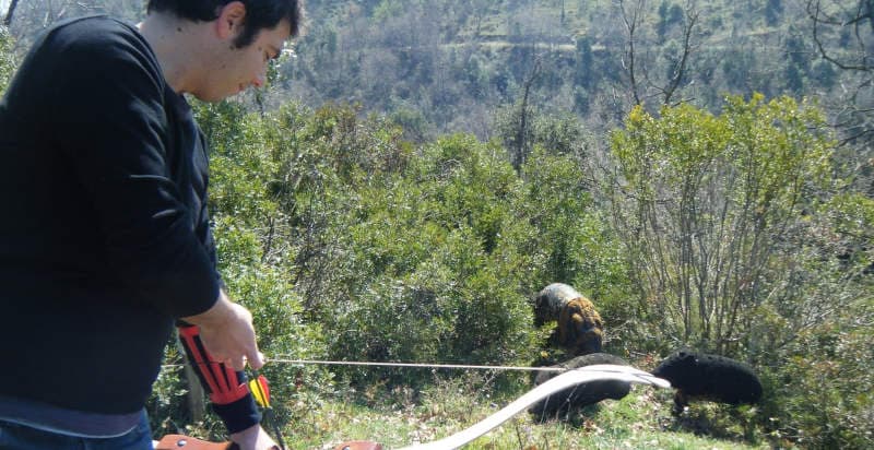 Tiro con l'arco 3D di gruppo