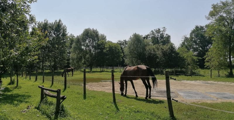 Un giorno da mandriano e pernottamento in tenda