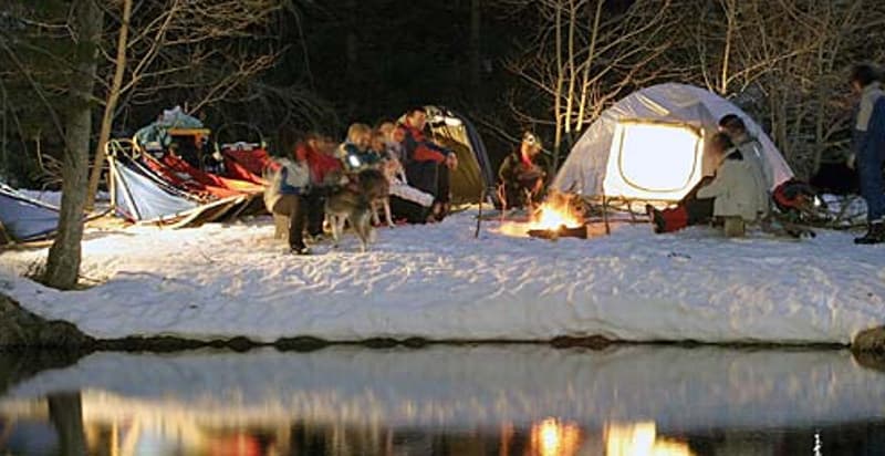 Weekend avventura con i cani da slitta
